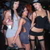 tarayummyy Altpins Profile Picture