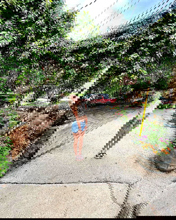 tatum.ricee tatum.ricee archive image