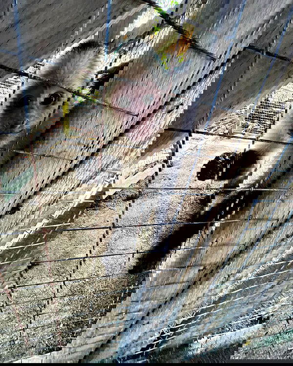 tatum.ricee tatum.ricee archive image