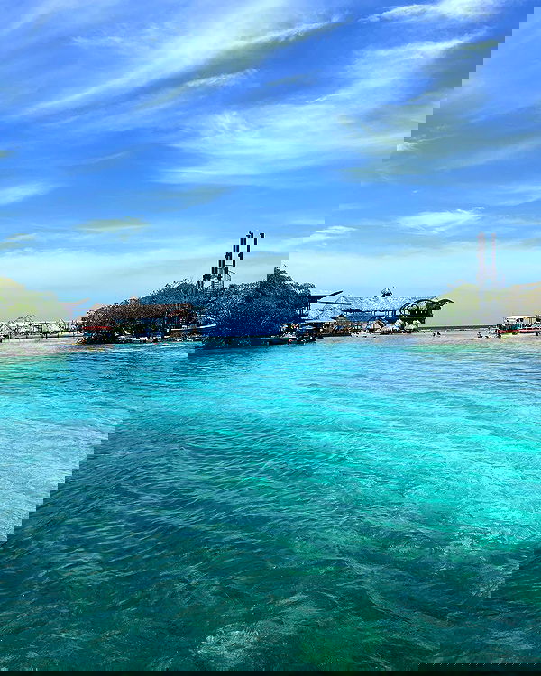 tatum.ricee tatum.ricee archive image