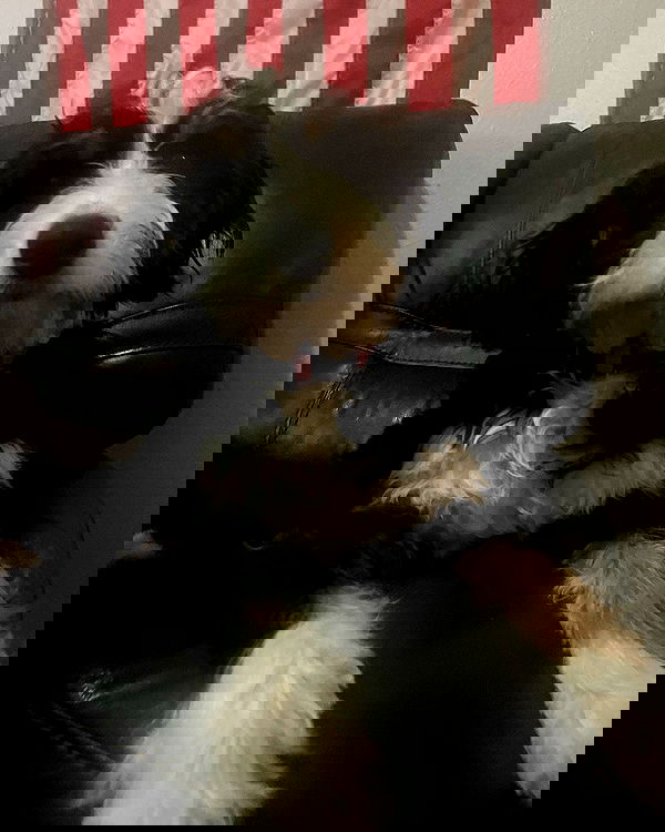 tatum.ricee tatum.ricee archive image