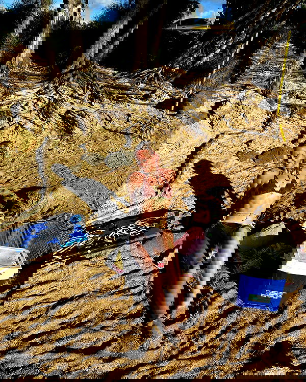 tatum.ricee tatum.ricee archive image