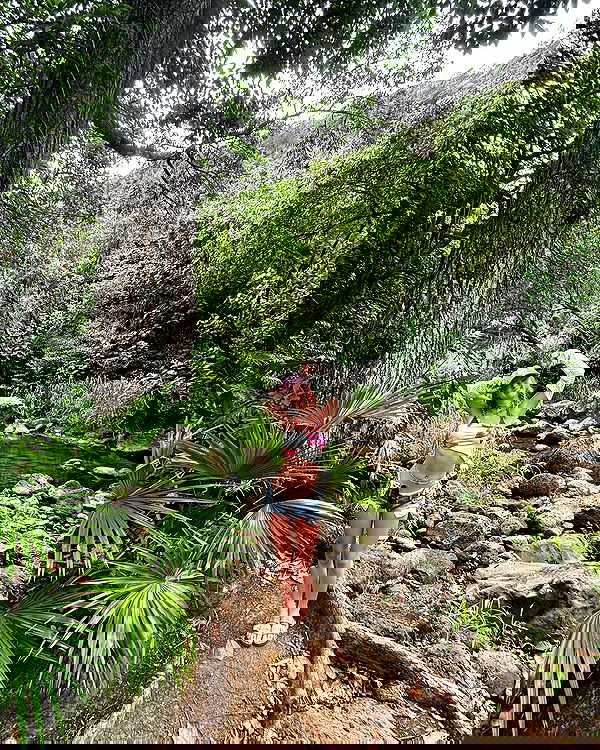 tatum.ricee tatum.ricee archive image