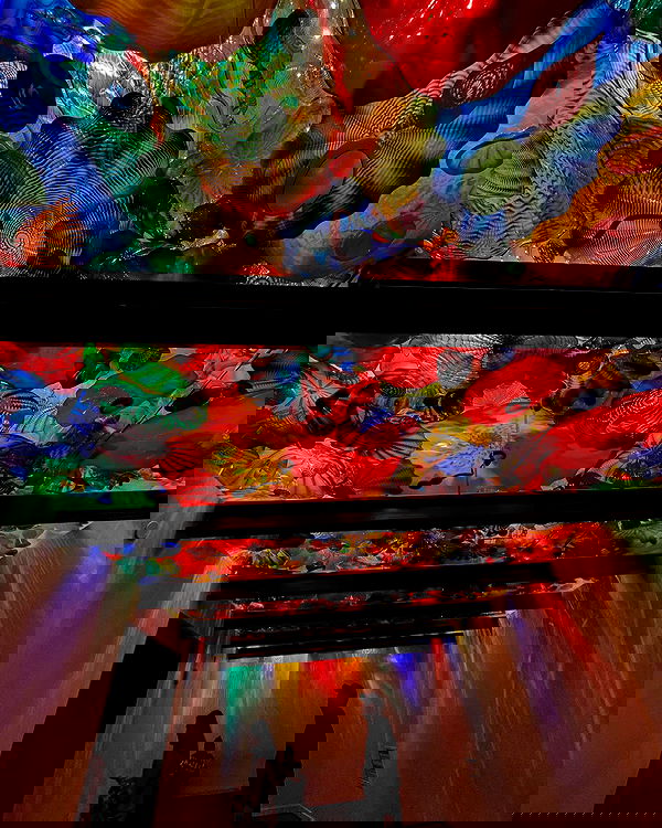 tatum.ricee tatum.ricee archive image