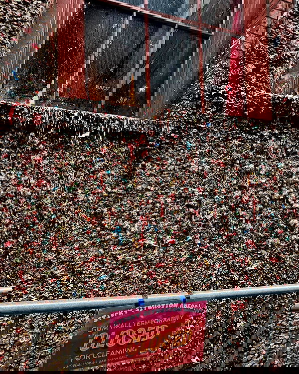 tatum.ricee tatum.ricee archive image