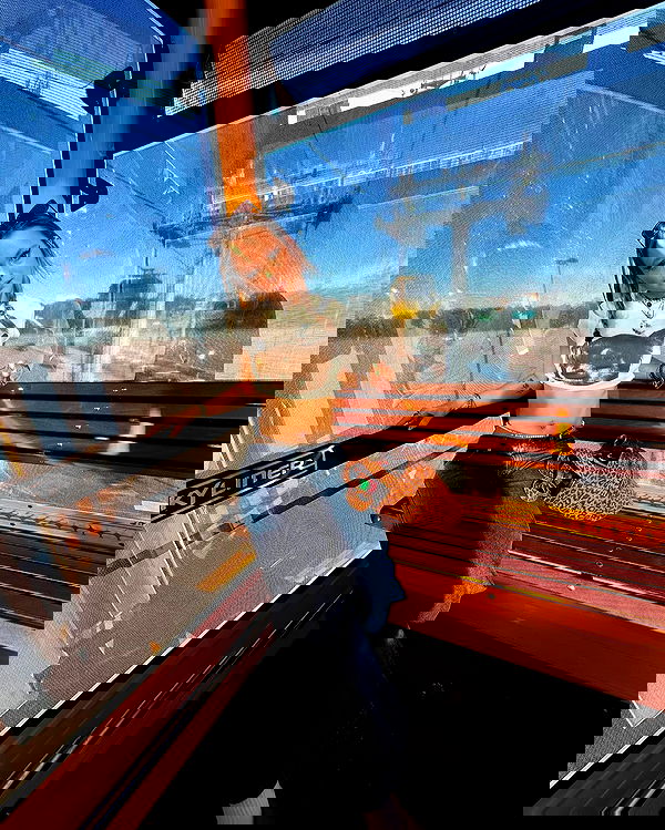 tatum.ricee tatum.ricee archive image