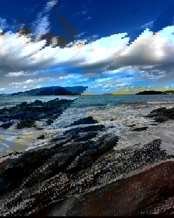 tatum.ricee tatum.ricee archive image