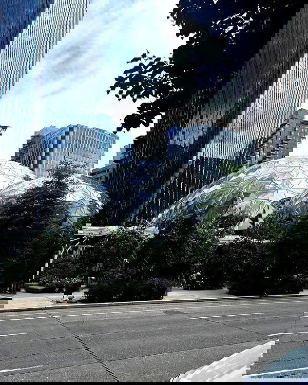 tatum.ricee tatum.ricee archive image