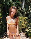 taylorballarddd Altpins Profile Picture