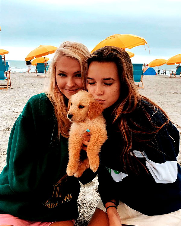 taylorballarddd instagram image archive image