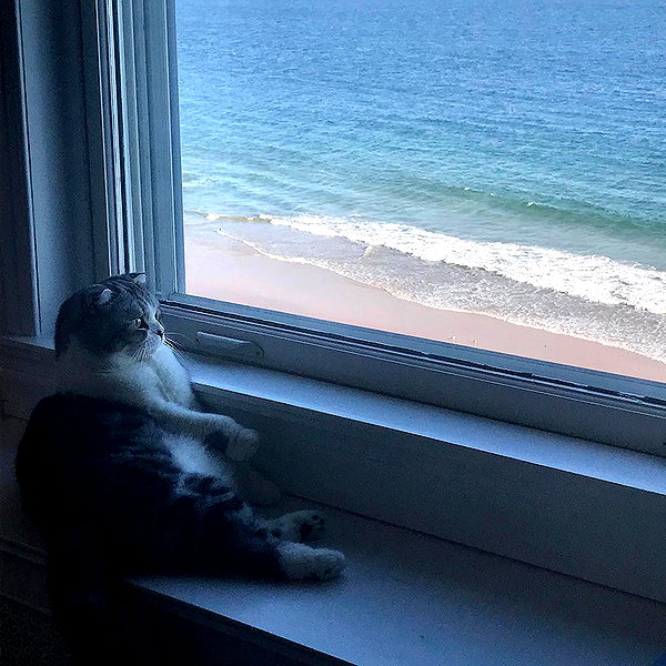 taylorswift instagram image archive image