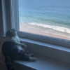 taylorswift Altpins Profile Picture