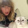 taylorswift Altpins Profile Picture