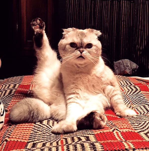 taylorswift instagram image archive image