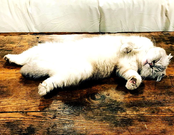 taylorswift instagram image archive image
