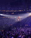 taylorswift Altpins Profile Picture