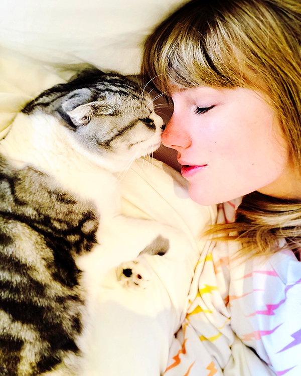 taylorswift instagram image archive image