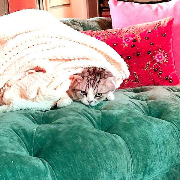 taylorswift instagram image archive image