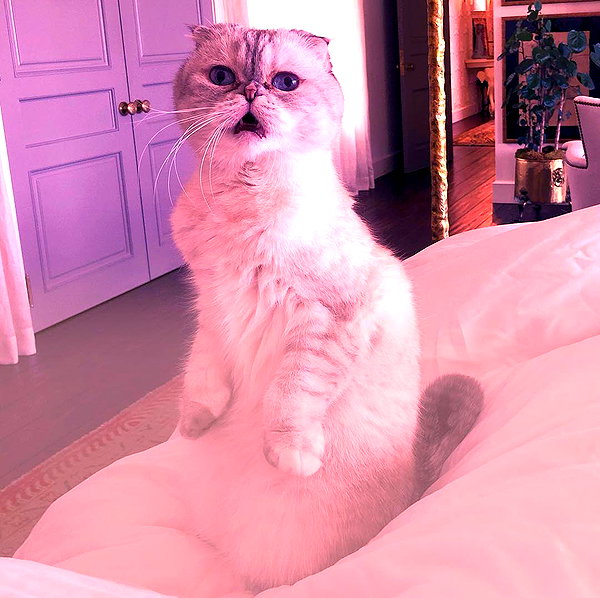 taylorswift instagram image archive image