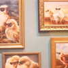 taylorswift Altpins Profile Picture