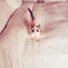 taylorswift Altpins Profile Picture