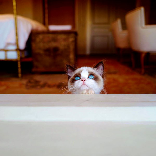 taylorswift instagram image archive image