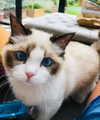 taylorswift Altpins Profile Picture