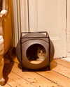 taylorswift Altpins Profile Picture