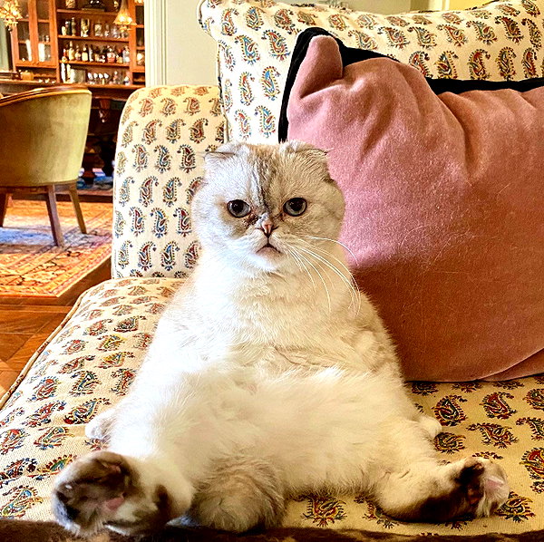 taylorswift instagram image archive image