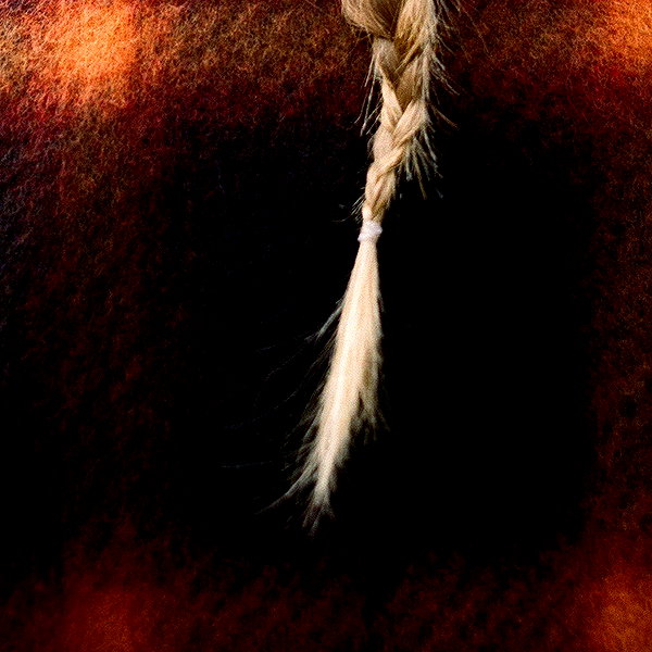 taylorswift taylorswift archive image