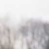 taylorswift Altpins Profile Picture