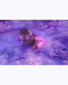 taylorswift Altpins Profile Picture