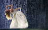 taylorswift Altpins Profile Picture