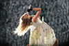 taylorswift Altpins Profile Picture