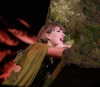 taylorswift Altpins Profile Picture