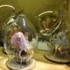 teakitten_ Altpins Profile Picture