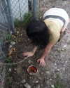 teakitten_ Altpins Profile Picture