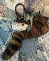 teakitten_ Altpins Profile Picture