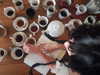 teakitten_ Altpins Profile Picture