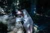 teakitten_ Altpins Profile Picture