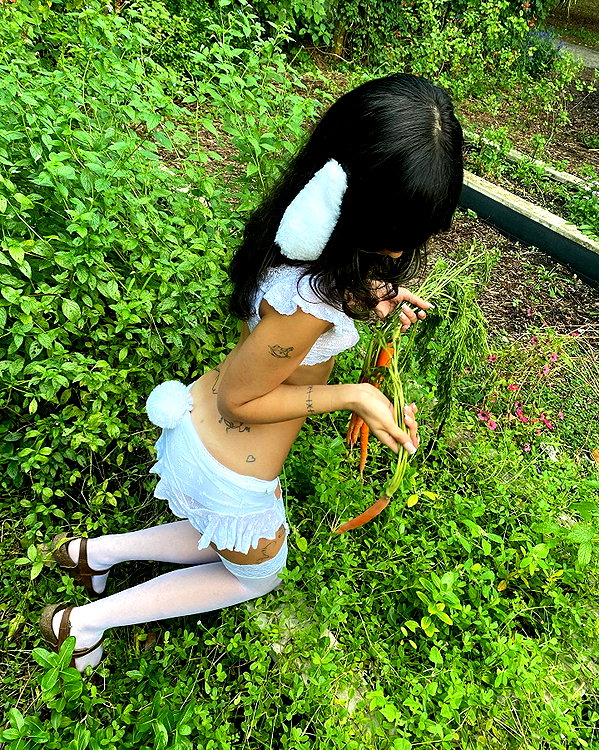 teakitten_ instagram image archive image