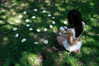 teakitten_ Altpins Profile Picture
