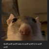 tecknopuppy Altpins Profile Picture