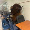 tecknopuppy Altpins Profile Picture