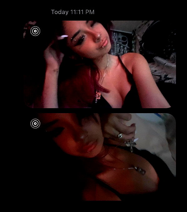 tecknopuppy instagram image archive image
