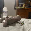 tecknopuppy Altpins Profile Picture
