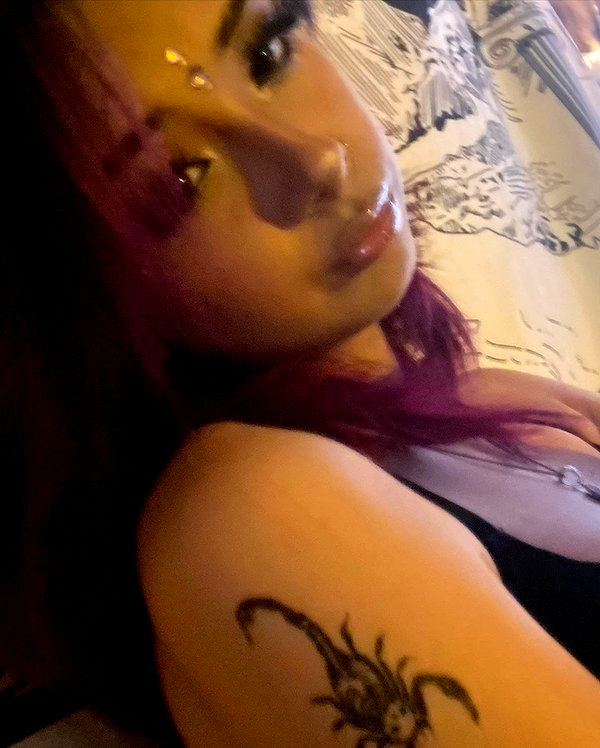 tecknopuppy instagram image archive image