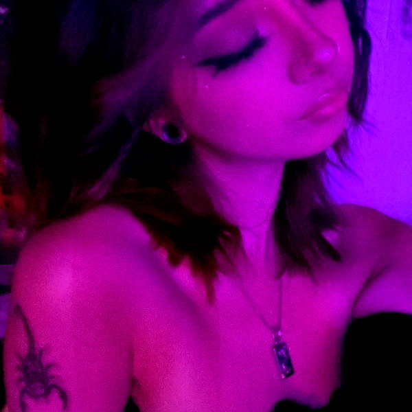 tecknopuppy instagram image archive image