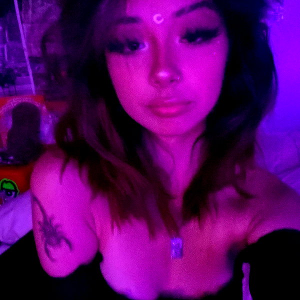 tecknopuppy instagram image archive image