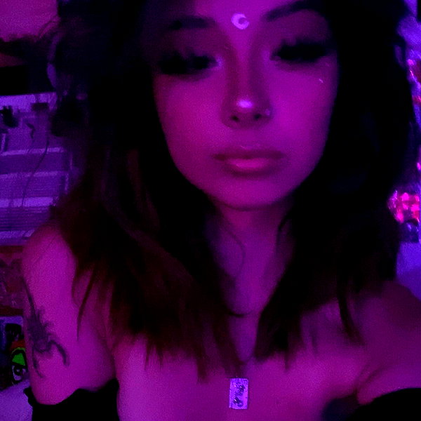 tecknopuppy instagram image archive image